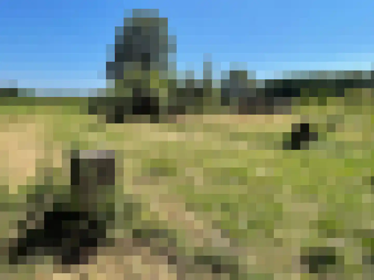 Scherpenbergsebaan 18 Schijf thumbnail 4