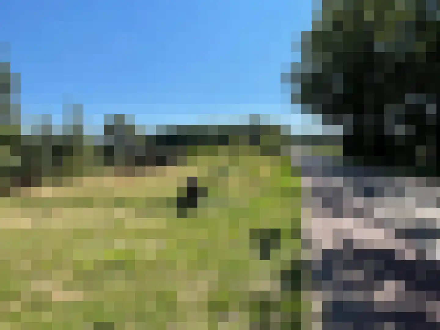 Scherpenbergsebaan 18 Schijf thumbnail 6