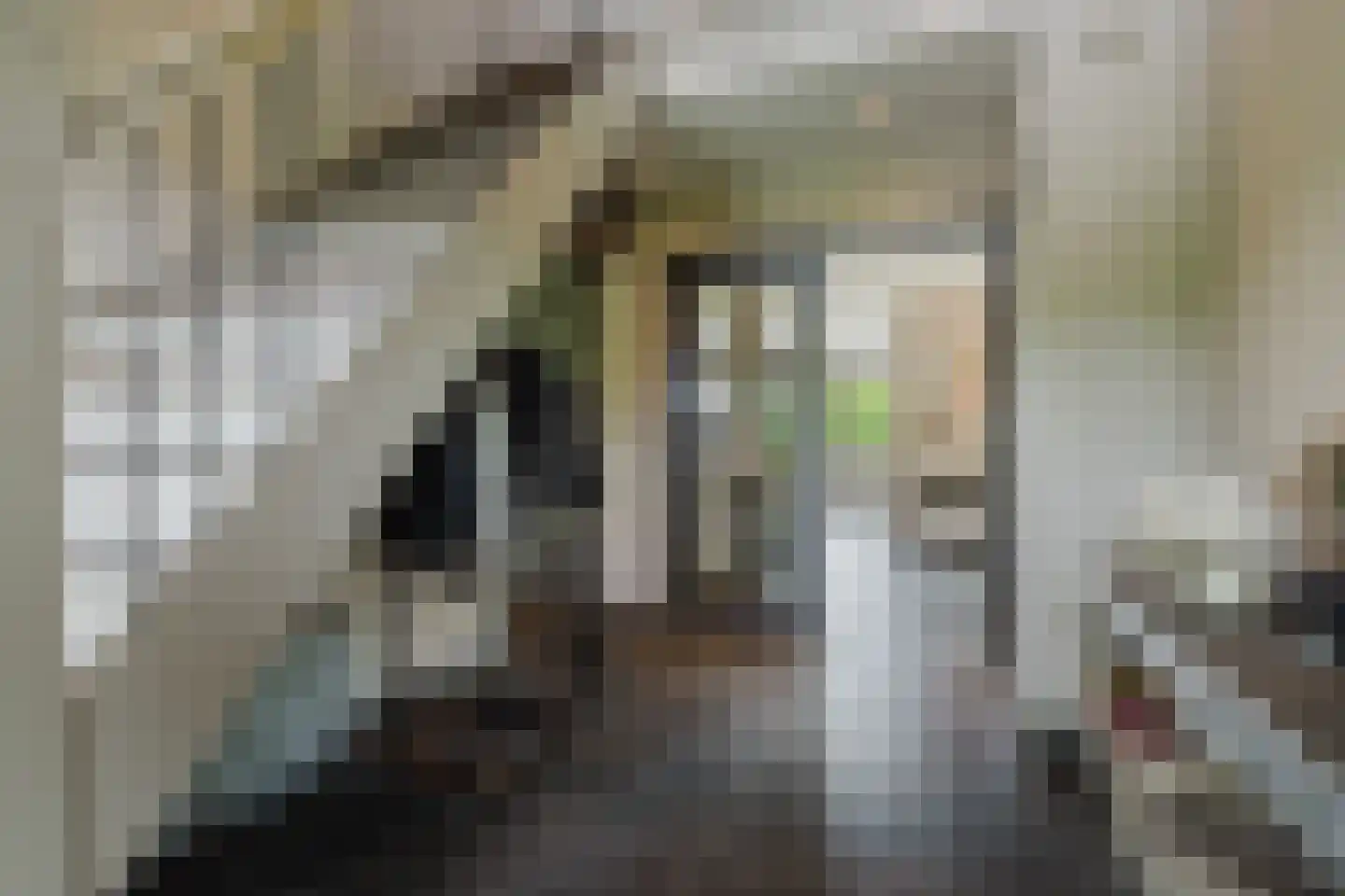Scherpenbergsebaan 8 B Schijf thumbnail 10