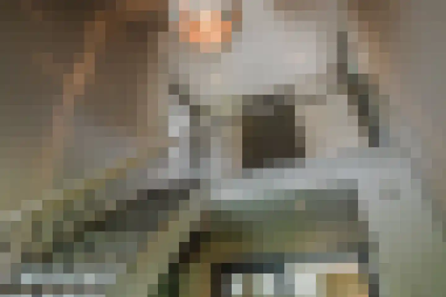 Scherpenbergsebaan 8 B Schijf thumbnail 11
