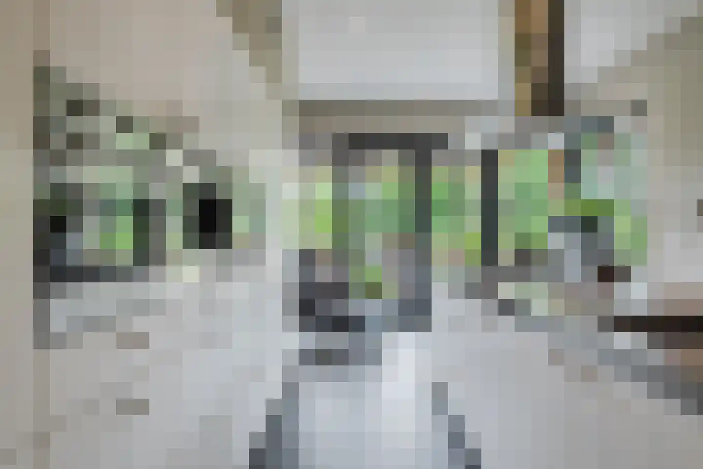 Scherpenbergsebaan 8 B Schijf thumbnail 12
