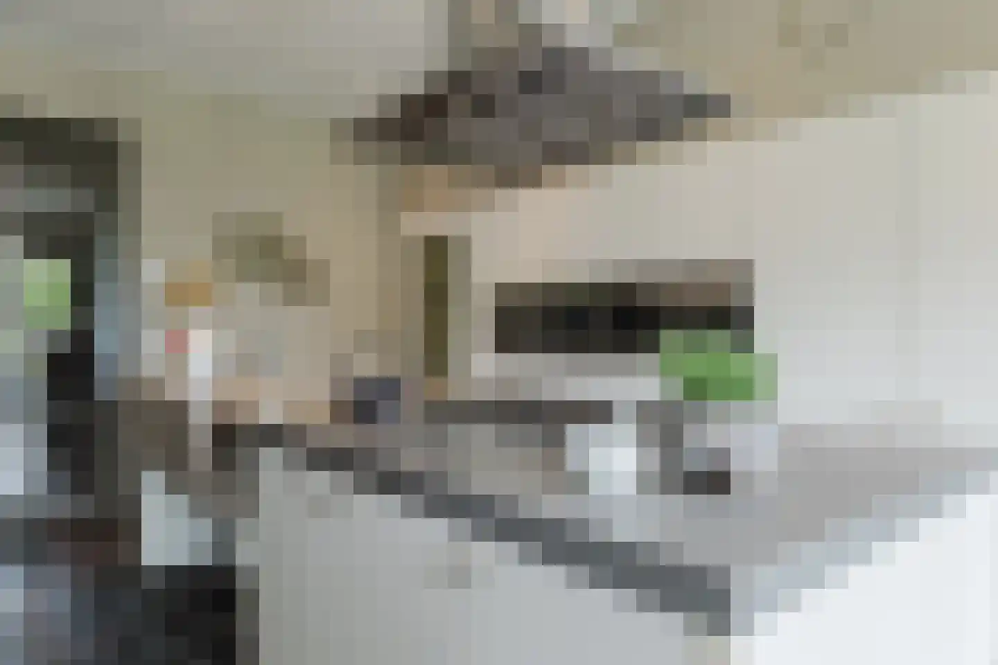 Scherpenbergsebaan 8 B Schijf thumbnail 18