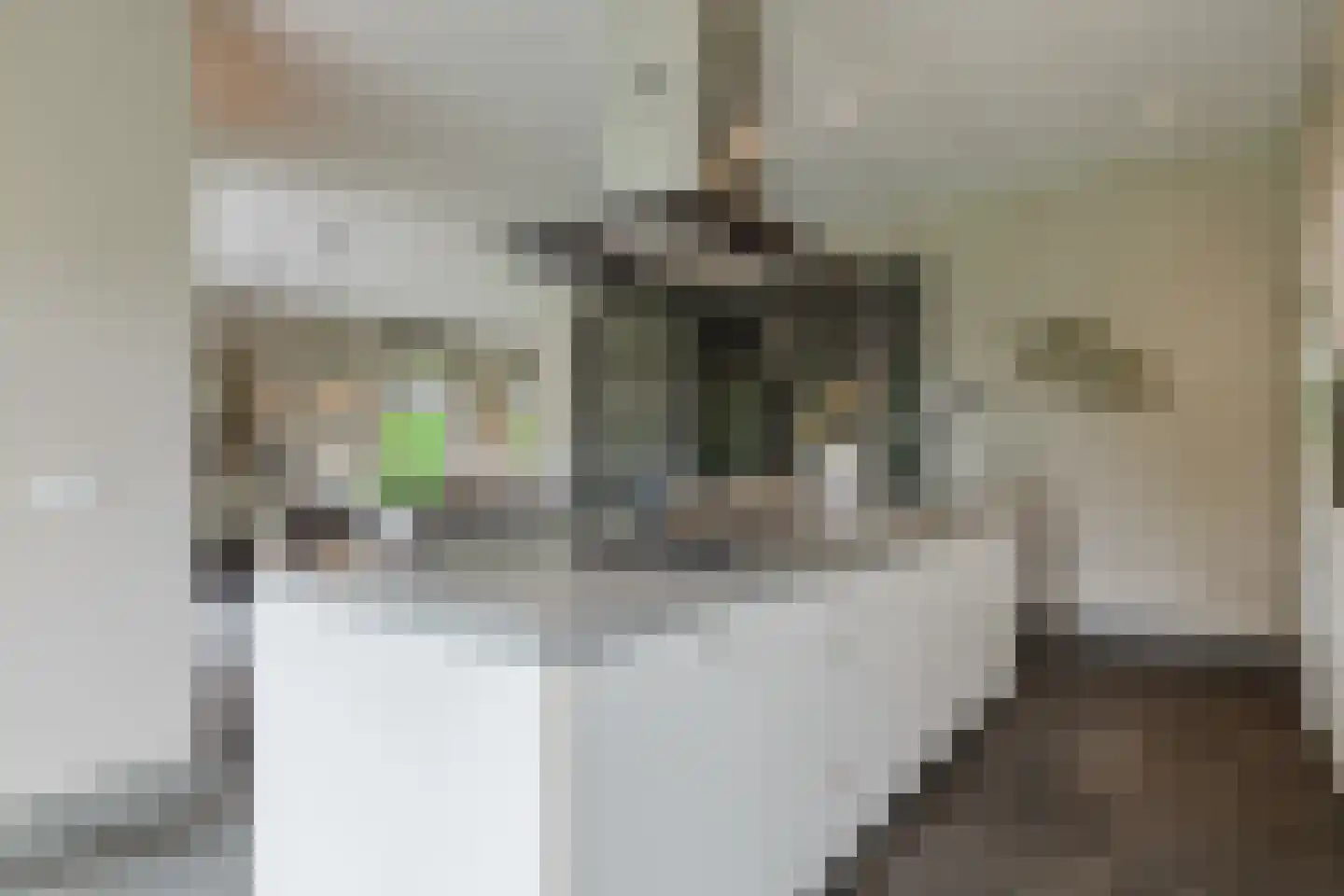 Scherpenbergsebaan 8 B Schijf thumbnail 22