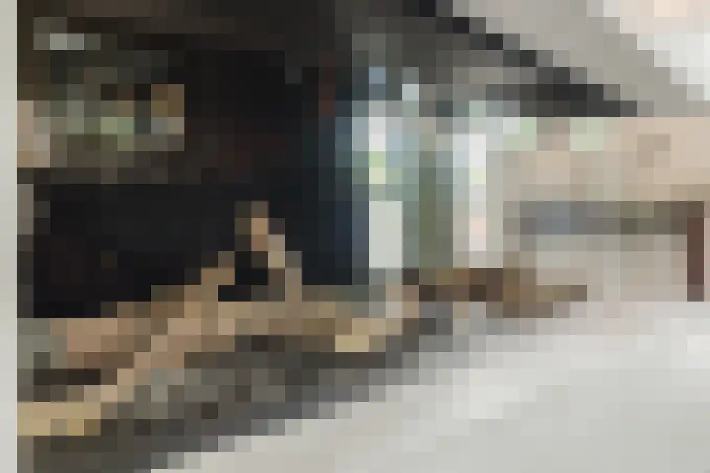 Scherpenbergsebaan 8 B Schijf thumbnail 30