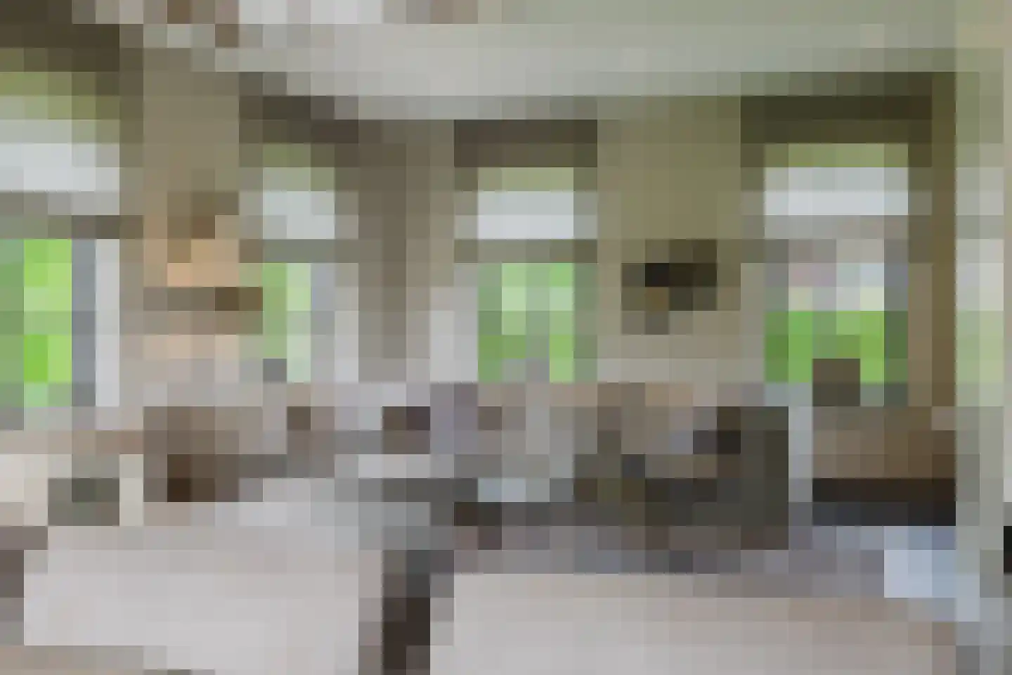 Scherpenbergsebaan 8 B Schijf thumbnail 31