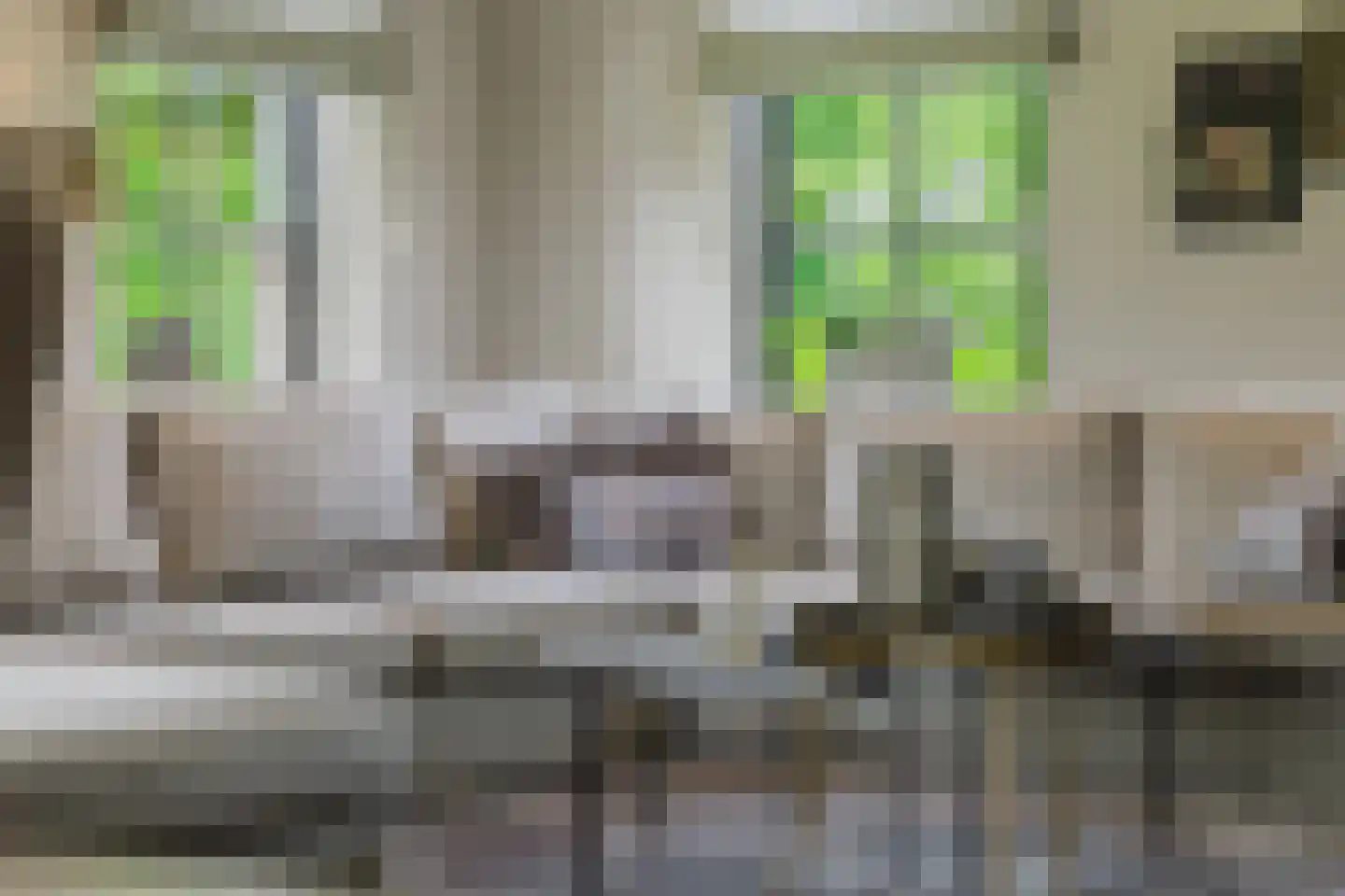 Scherpenbergsebaan 8 B Schijf thumbnail 32