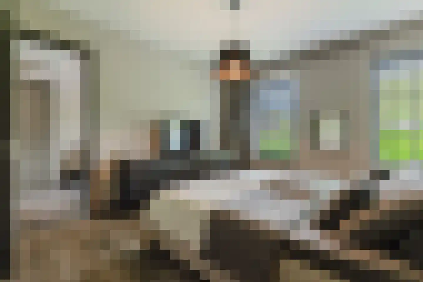 Scherpenbergsebaan 8 B Schijf thumbnail 36