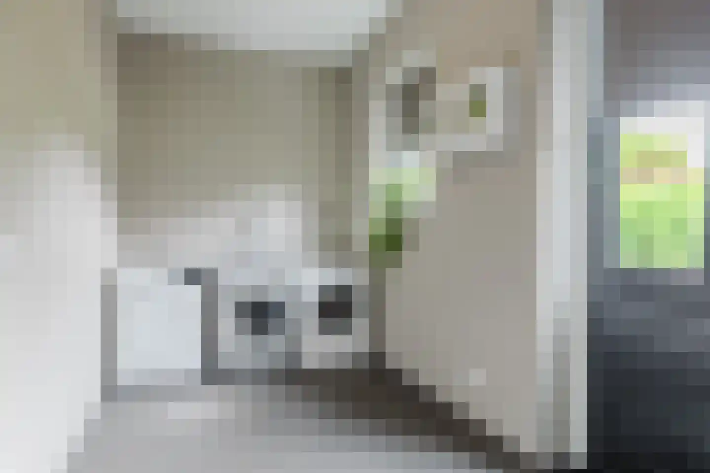 Scherpenbergsebaan 8 B Schijf thumbnail 43