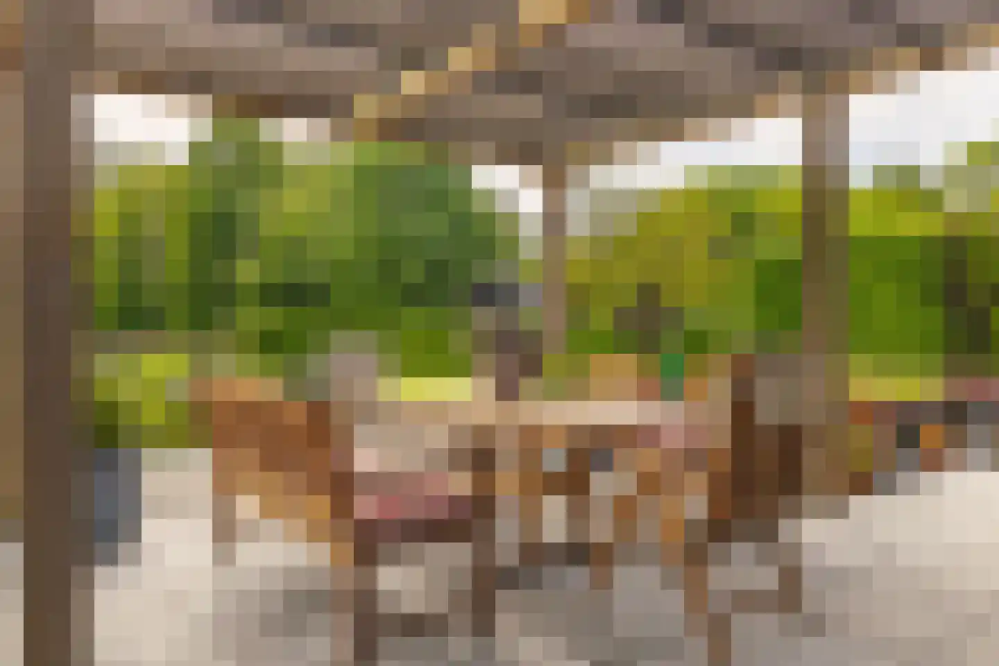 Scherpenbergsebaan 8 B Schijf thumbnail 58