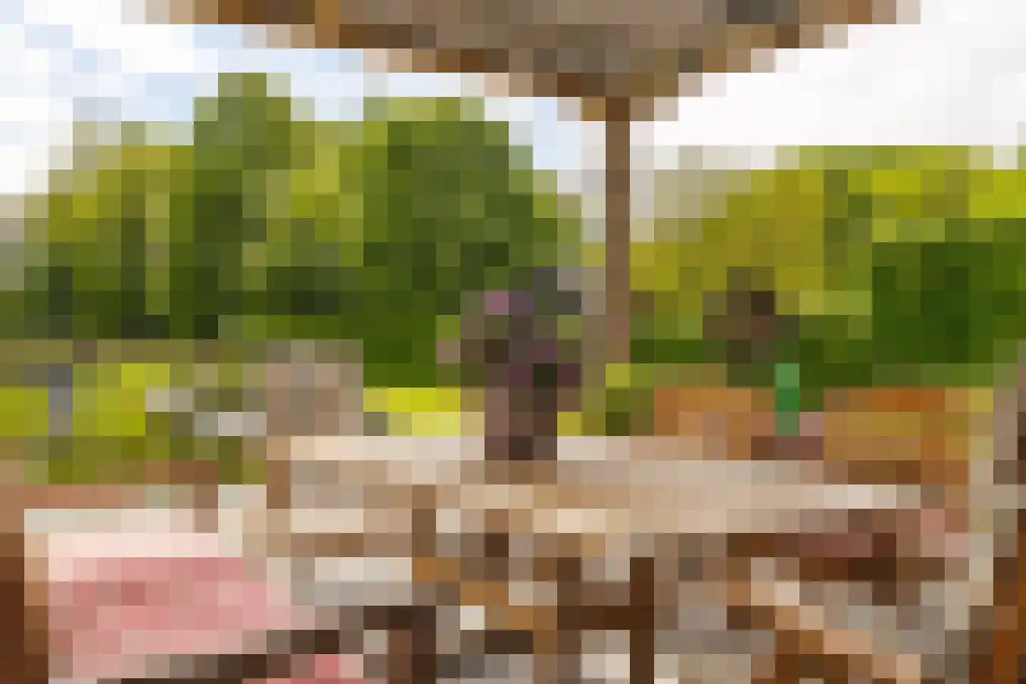 Scherpenbergsebaan 8 B Schijf thumbnail 59