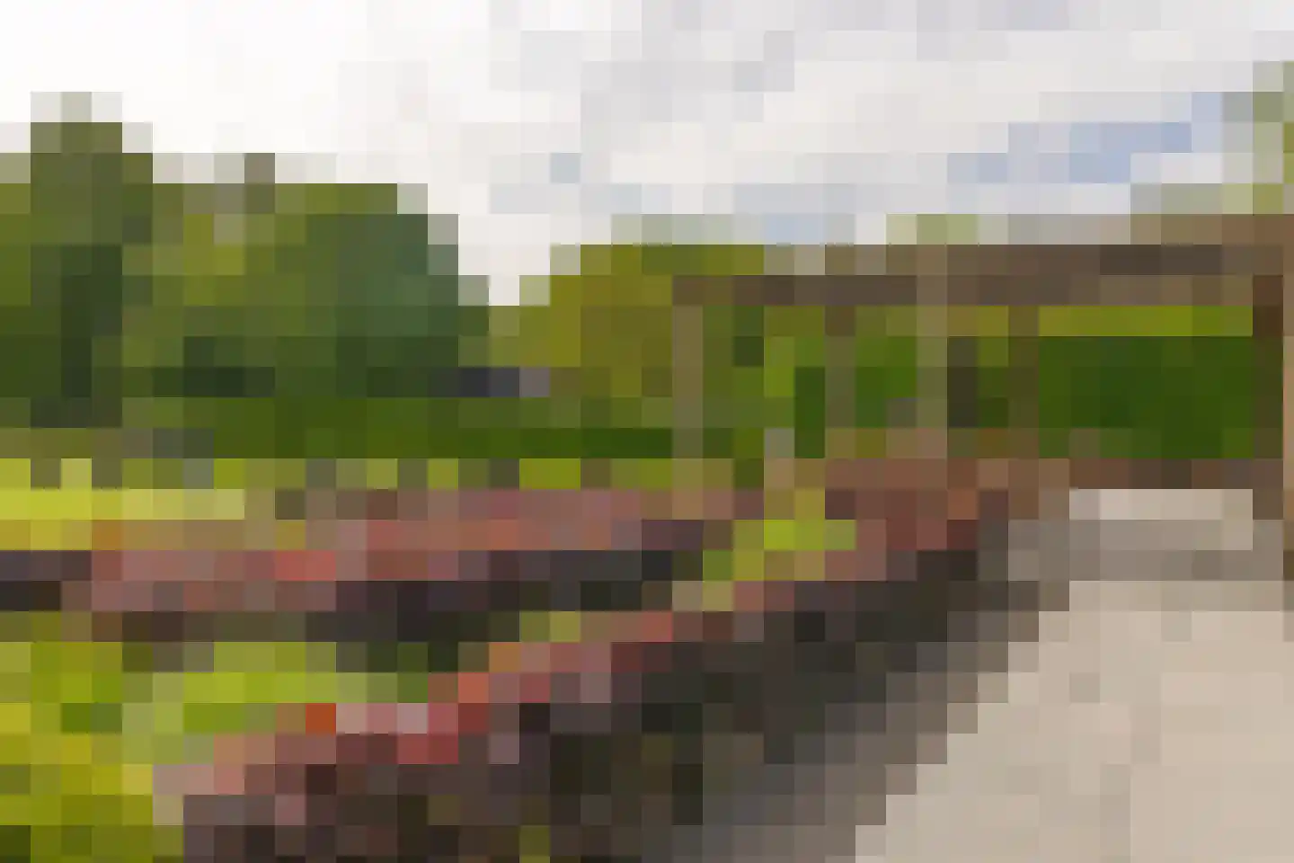 Scherpenbergsebaan 8 B Schijf thumbnail 62