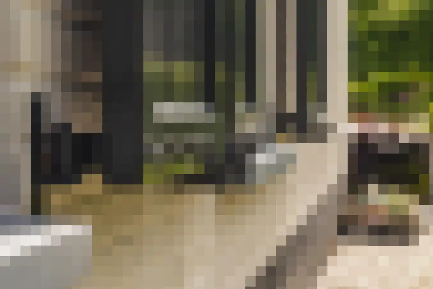 Scherpenbergsebaan 8 B Schijf thumbnail 69