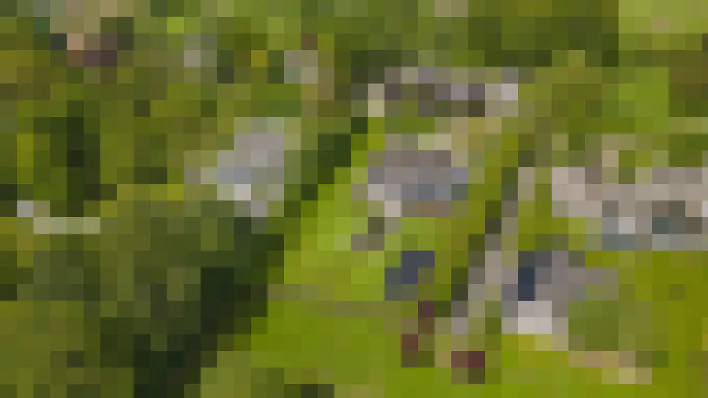 Scherpenbergsebaan 8 B Schijf thumbnail 72