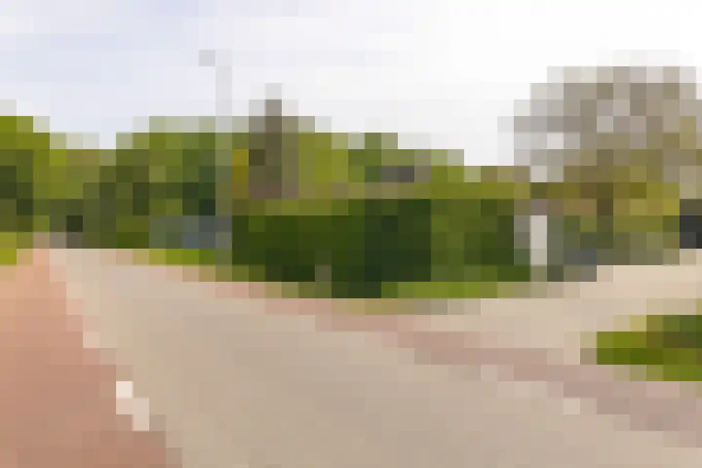 Scherpenbergsebaan 8 B Schijf thumbnail 74