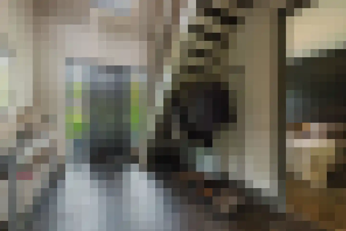 Scherpenbergsebaan 8 B Schijf thumbnail 9