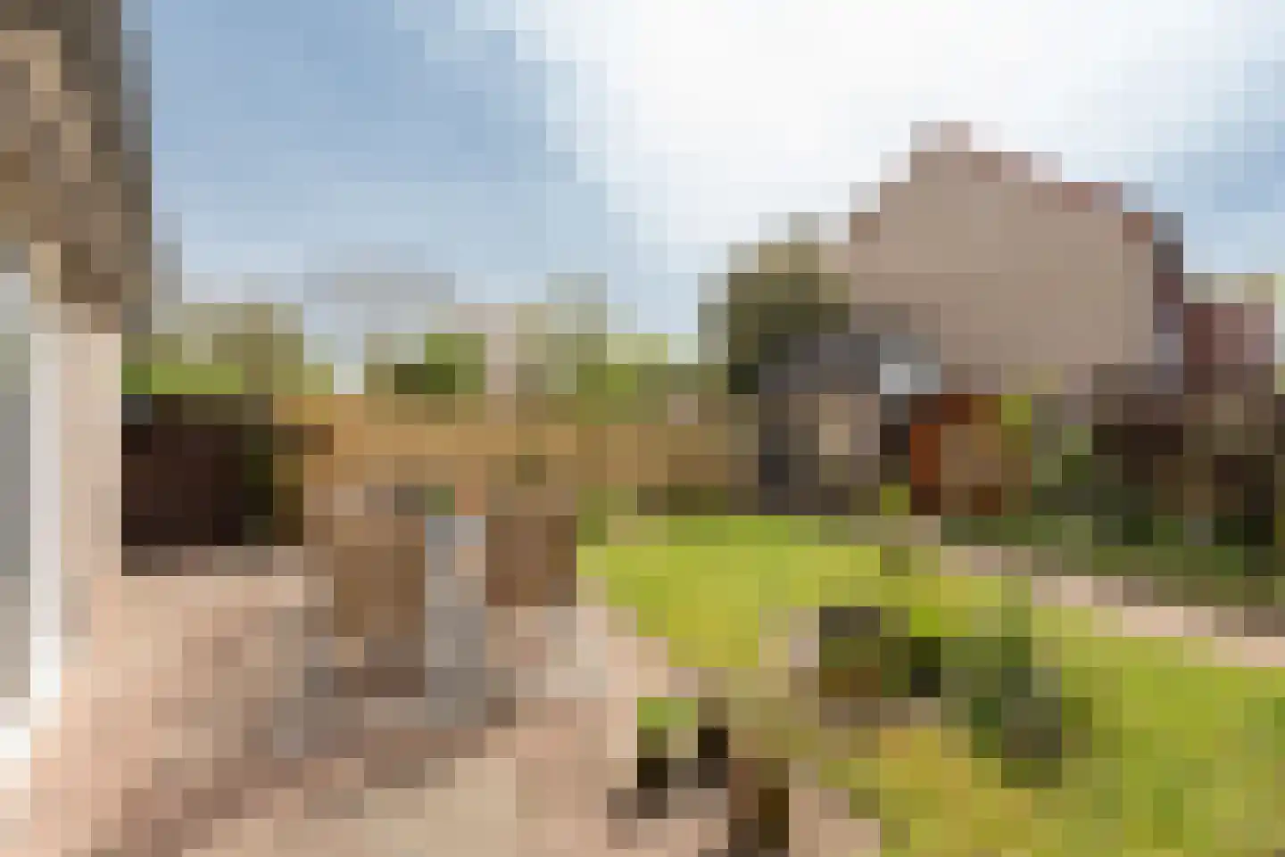 Scherpencamp 1 Houten thumbnail 19