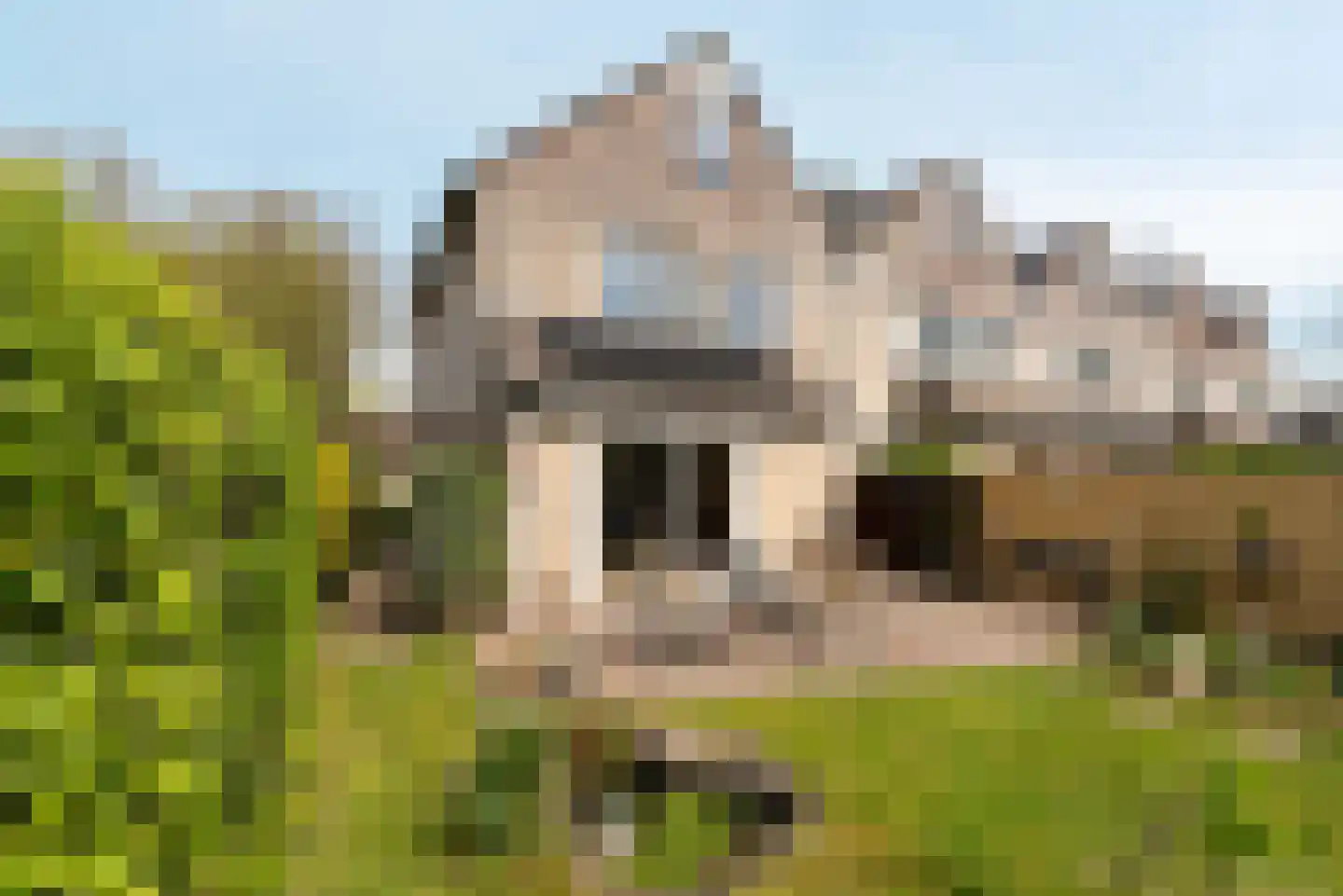 Scherpencamp 1 Houten thumbnail 20