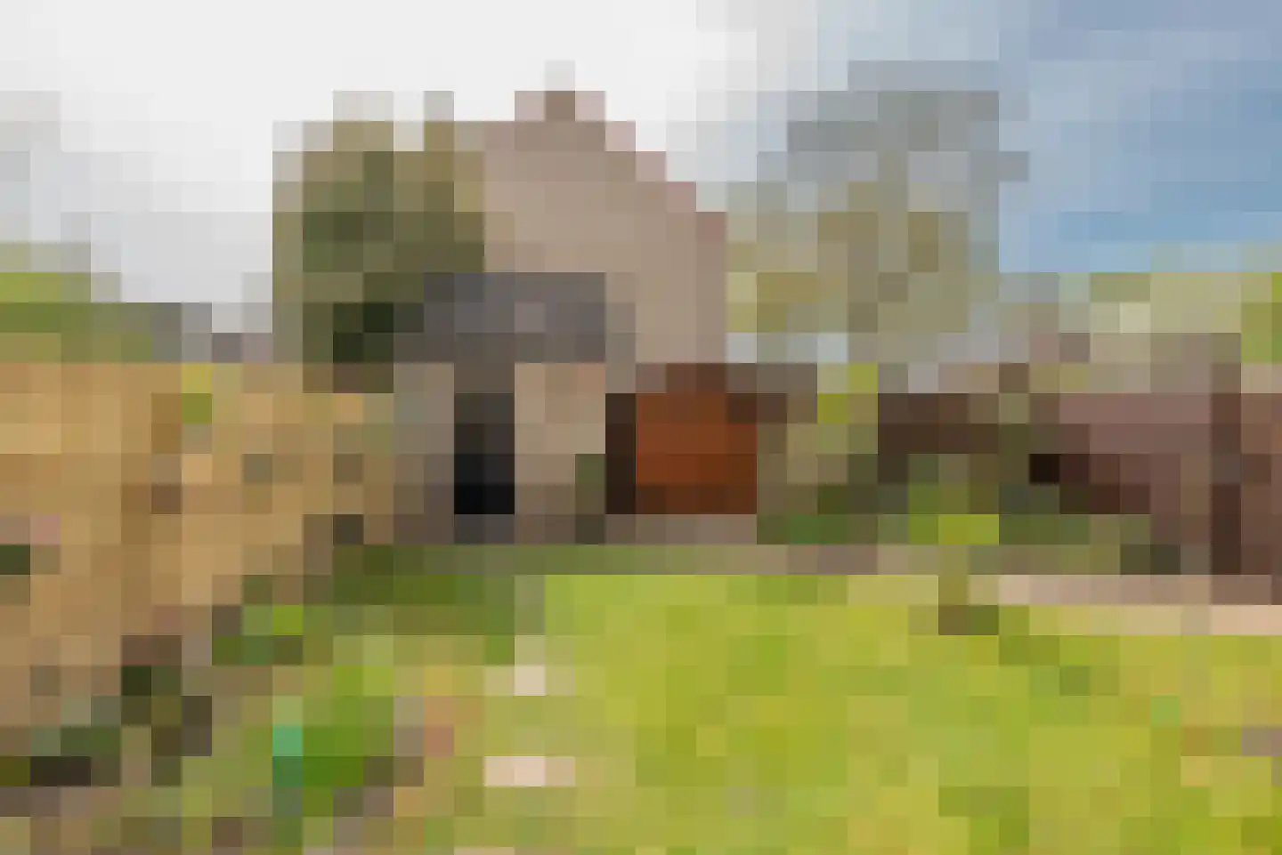 Scherpencamp 1 Houten thumbnail 22