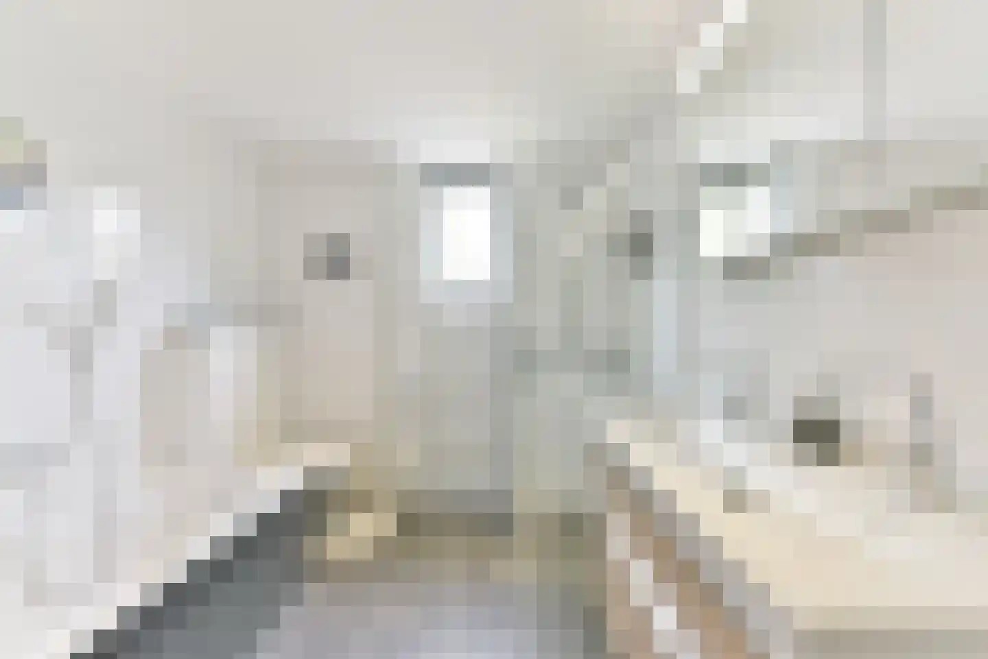 Scherpencamp 1 Houten thumbnail 34