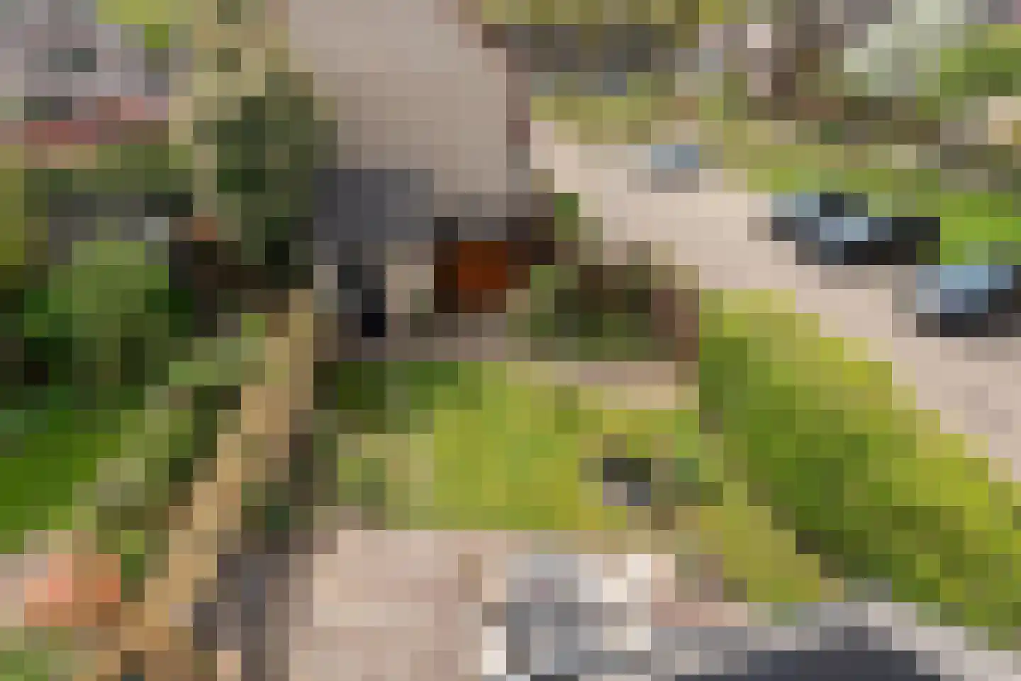 Scherpencamp 1 Houten thumbnail 39