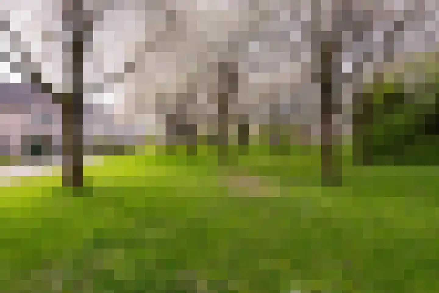Scherpencamp 1 Houten thumbnail 48