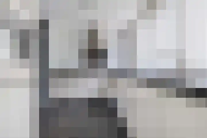 Scherpencamp 15 Houten thumbnail 13