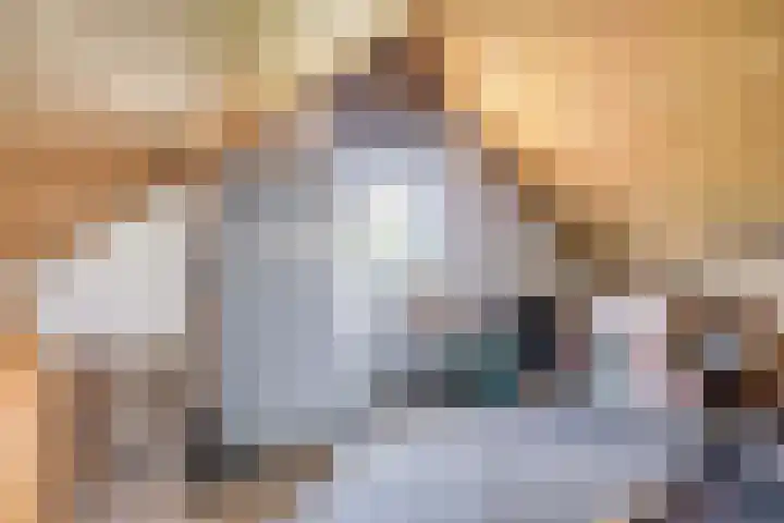Scherpencamp 15 Houten thumbnail 25