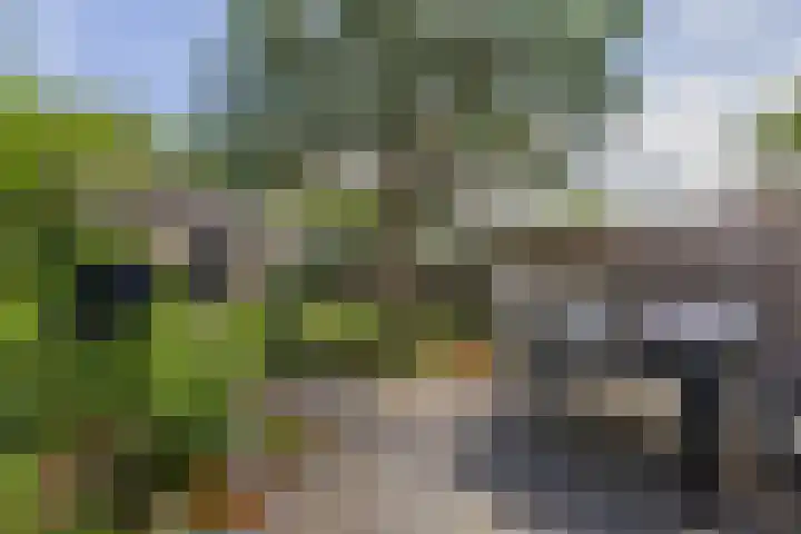 Scherpencamp 15 Houten thumbnail 26