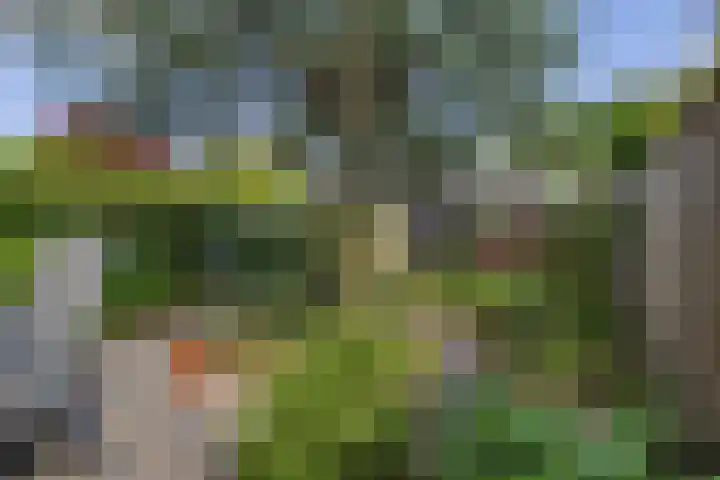 Scherpencamp 15 Houten thumbnail 27