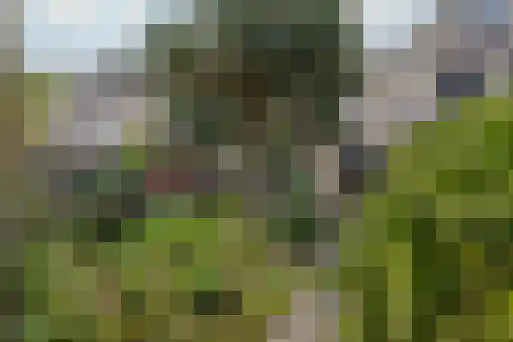 Scherpencamp 15 Houten thumbnail 28