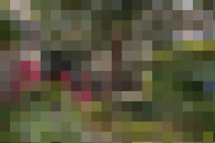 Scherpencamp 15 Houten thumbnail 29