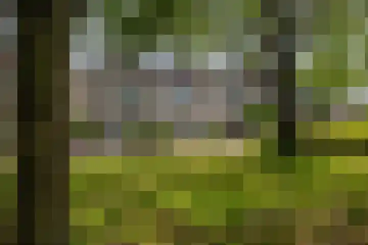 Scherpencamp 15 Houten thumbnail 32