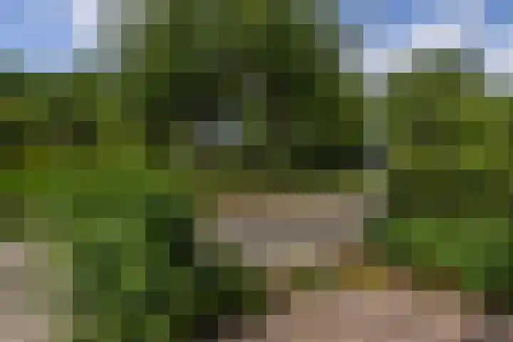 Scherpencamp 15 Houten thumbnail 33