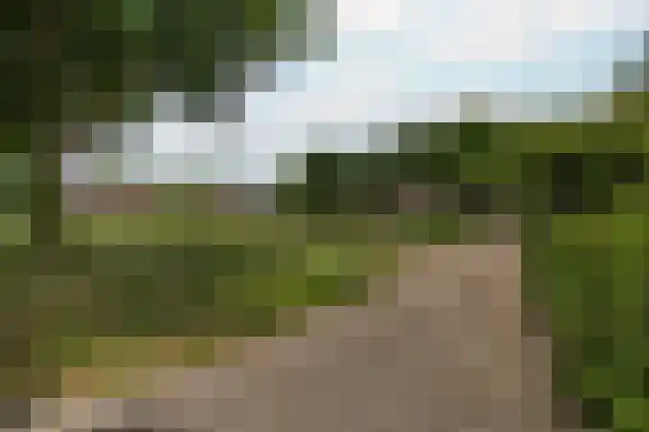 Scherpencamp 15 Houten thumbnail 34