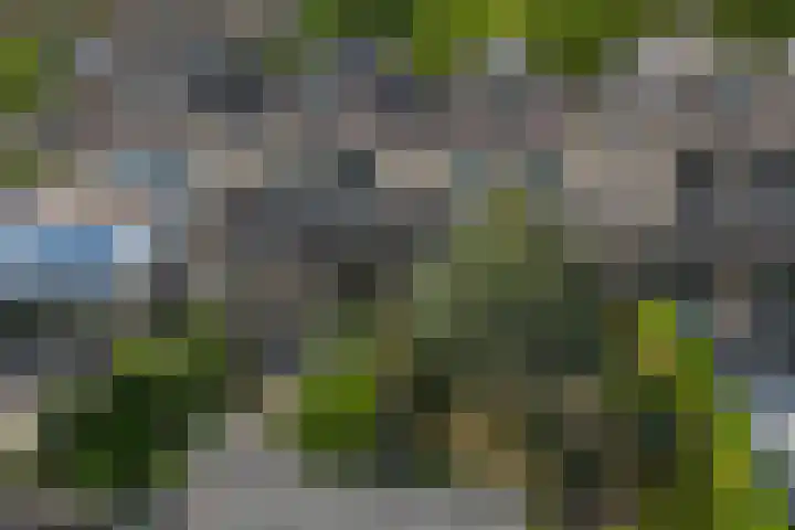 Scherpencamp 15 Houten thumbnail 35
