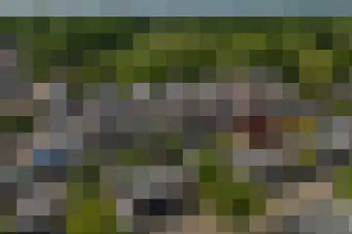 Scherpencamp 15 Houten thumbnail 36