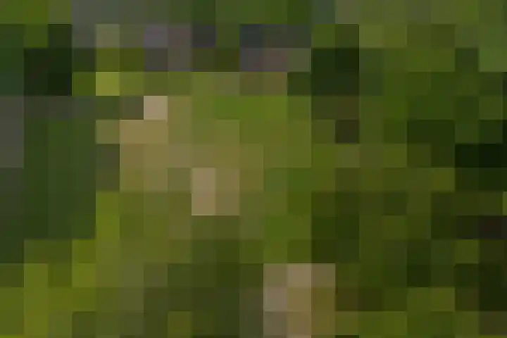 Scherpencamp 15 Houten thumbnail 37