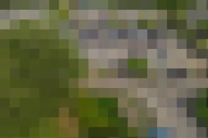 Scherpencamp 15 Houten thumbnail 39