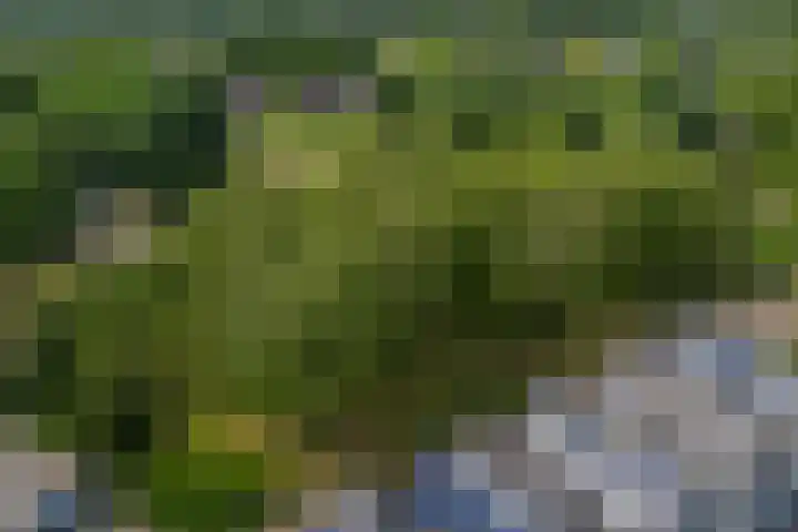 Scherpencamp 15 Houten thumbnail 40