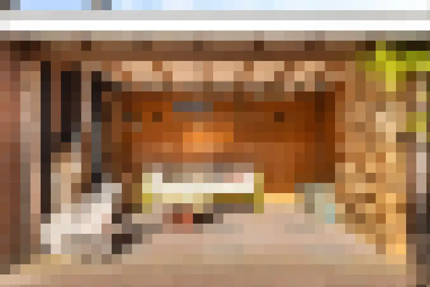 Scherpencamp 16 Nijkerk thumbnail 18