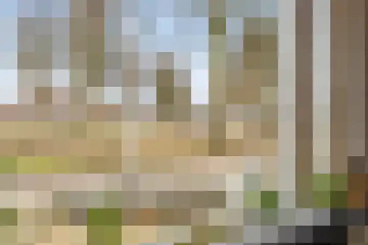 Scherpencamp 43 Houten thumbnail 13
