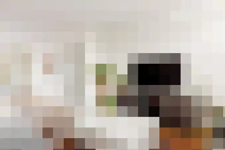 Scherpencamp 43 Houten thumbnail 15