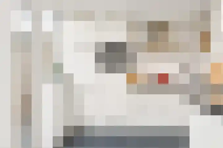 Scherpencamp 43 Houten thumbnail 24