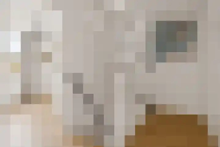 Scherpencamp 43 Houten thumbnail 30