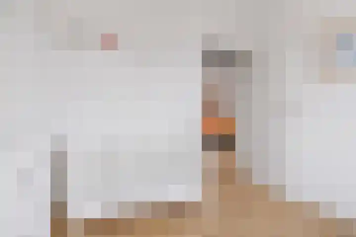 Scherpencamp 43 Houten thumbnail 32