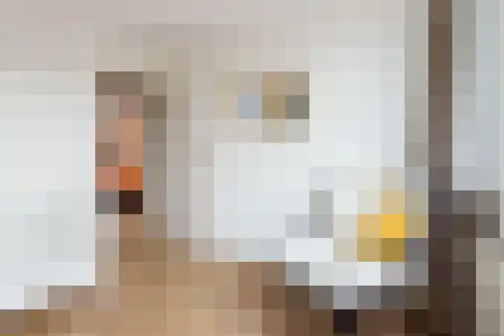 Scherpencamp 43 Houten thumbnail 33