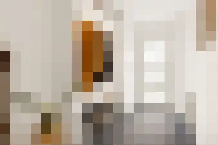 Scherpencamp 43 Houten thumbnail 4