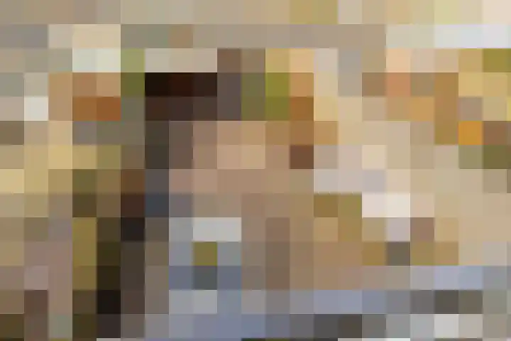 Scherpencamp 43 Houten thumbnail 40