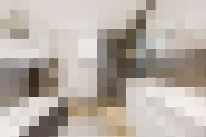 Scherpencamp 43 Houten thumbnail 42