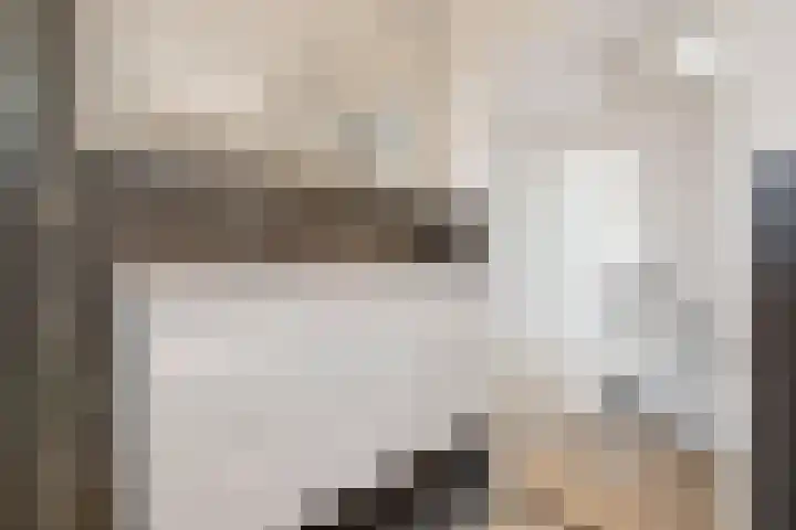 Scherpencamp 43 Houten thumbnail 43